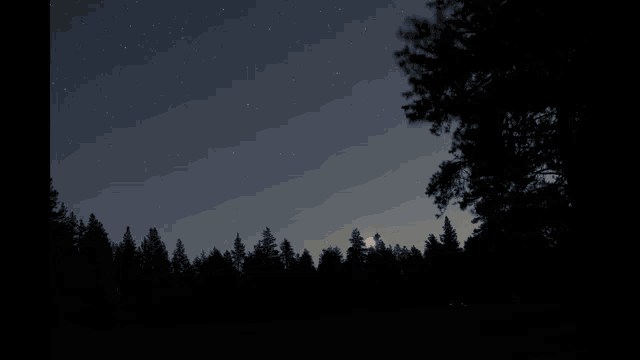 a full moon is visible in the night sky above the trees