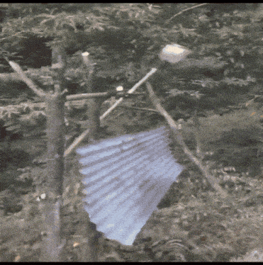 a piece of tin is hanging from a tree