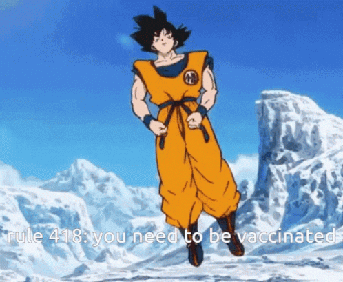 Goku Rules GIF - Goku Rules GIFs