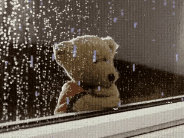 Teddy Bear Looking GIF - Teddy Bear Looking Window GIFs