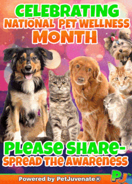 a poster for celebrating national pet wellness month with dogs and cats