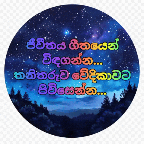 a picture of a night sky with trees in the foreground in a foreign language