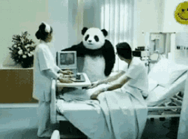 a panda bear in a hospital room with a nurse