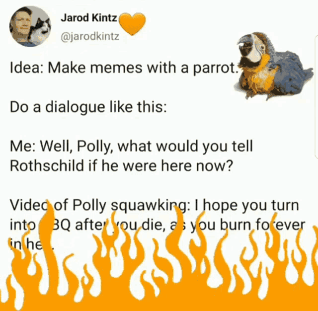 a twitter post by jarod kintz with a picture of a parrot and flames