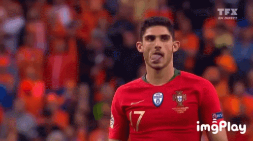 Lizard Tongue Out GIF - Lizard Tongue Out Gonçalo Guedes GIFs