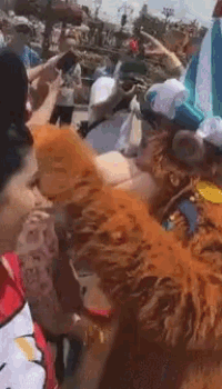 a woman in a hello kitty shirt is holding a stuffed animal in a crowd of people at a water park .