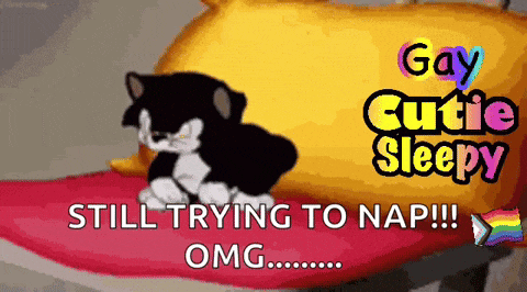 a picture of a cat on a pillow that says gay cutie sleepy still trying to nap omg
