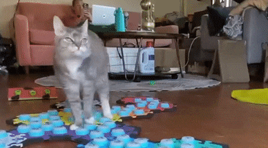 Billi Billispeaks GIF