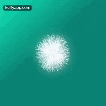a picture of a dandelion with a green background