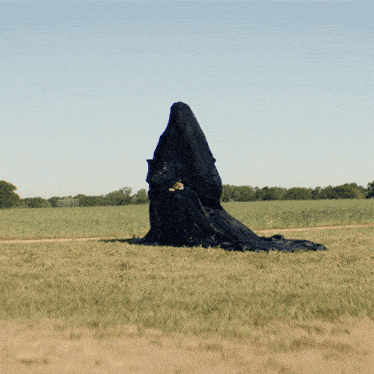 a woman in a long black dress stands in a field
