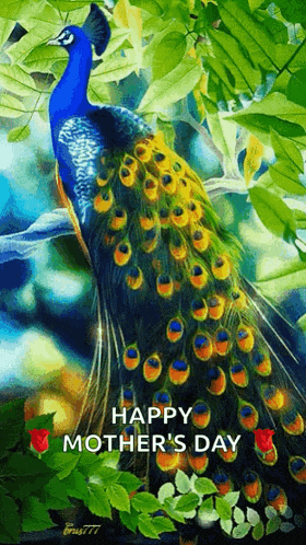 a peacock is sitting on a tree branch with a happy mother 's day message