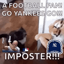 a football fan is laying on a couch with a cat and a baseball cap .