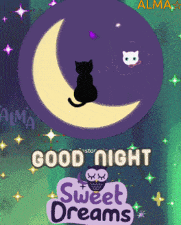 a good night sweet dreams poster with a cat on the moon