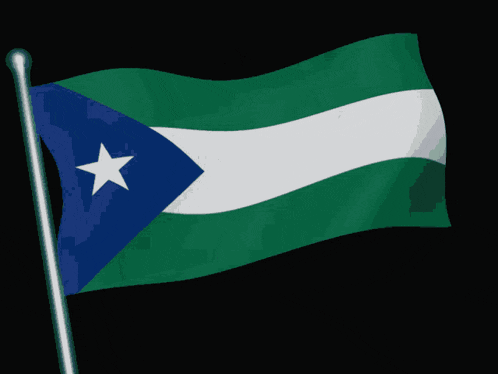 a blue white and green flag with a star on it