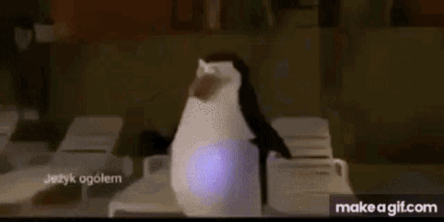 Pingwin Sarnol GIF - Pingwin Sarnol Cebulio GIFs