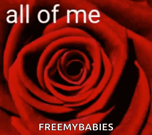 a red rose with the words all of me loves freemybabies below it
