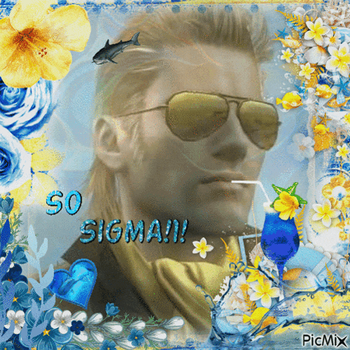 a picture of a man wearing sunglasses with the words so sigma !!! below him
