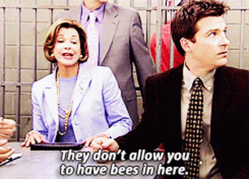Lucille Bluth Arrested Development GIF - Lucille Bluth Arrested Development Dont Allow You To Have Bees In Here GIFs