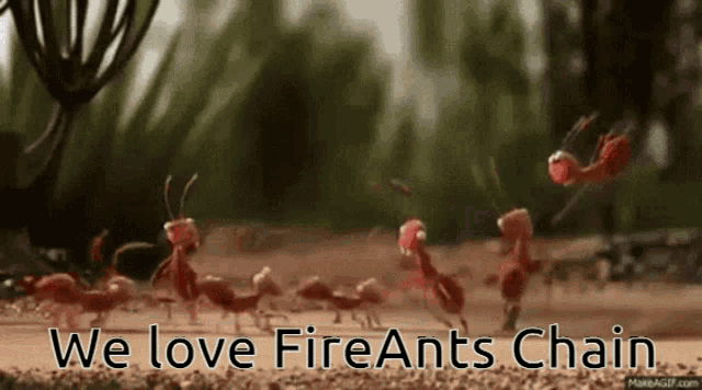 Fireants Fireants Coin GIF - Fireants Ants Fireants Coin GIFs