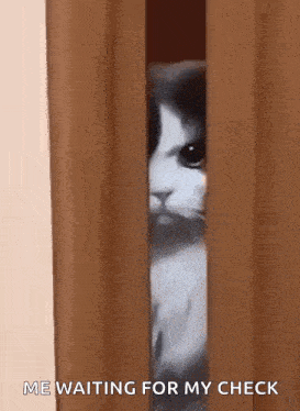 a cat is peeking out of a door and says " me waiting for my check " .