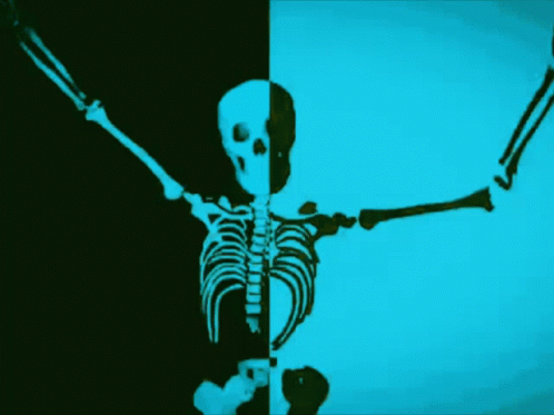 Halloween Dia De Los Muertos GIF - Halloween Dia De Los Muertos Skeletons GIFs