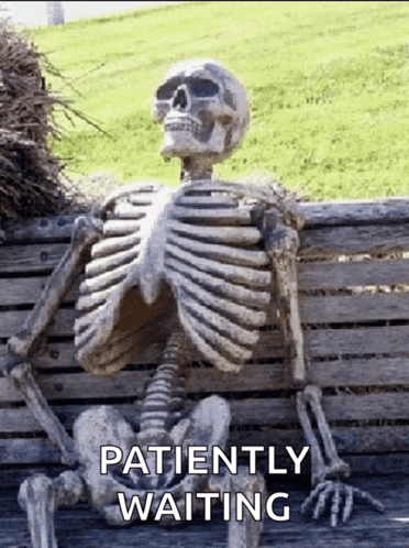 Skeleton Waiting Waiting Meme - Skeleton Waiting Skeleton Waiting ...