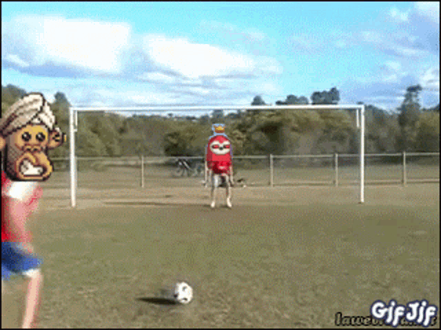 a gif of a person kicking a soccer ball with a monkey on the back