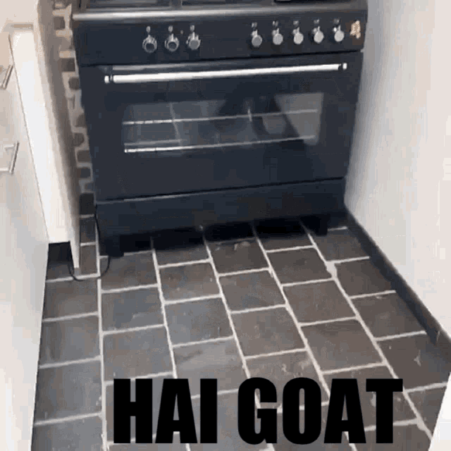 Goat Baby GIF - Goat Baby Hai Goat GIFs