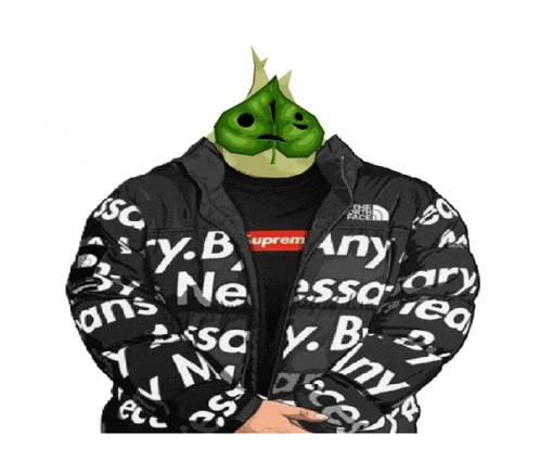 a person wearing a supreme jacket with a leaf on their head