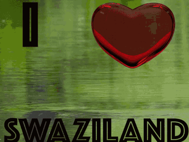 Iheartswaziland Coyotemedia GIF - Iheartswaziland Coyotemedia Coyotemediatv GIFs