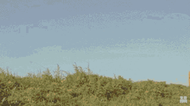 a woman in a red dress is walking through a field with a briefcase