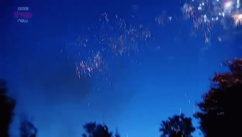 4th Of July Fireworks GIF - Worldsstrictestparents Outofcontrolteens 4thofjuly GIFs