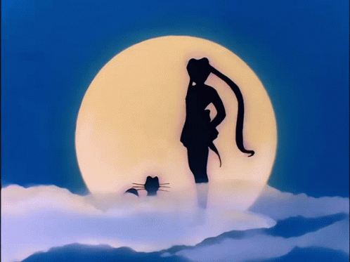 Sailor Moon Luna GIF - Sailor Moon Luna GIFs