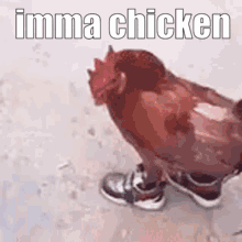 Chicken Biryani Imma Chicken GIF - Chicken Biryani Imma Chicken Chicken Drip GIFs