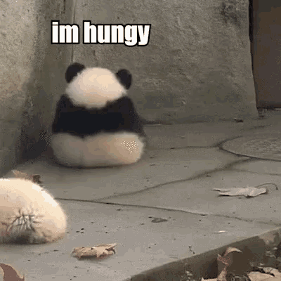 Im Hungry Hungy GIF - Im Hungry Hungy Panda GIFs
