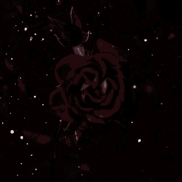 a red rose is surrounded by black leaves