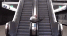 Escalator Funny GIF - Escalator Funny Silly GIFs