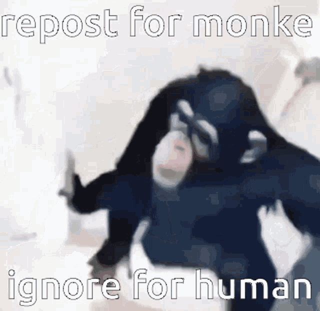 Monkey Repost For Monkey Ignore For Human GIF - Monkey Repost For Monkey Ignore For Human GIFs