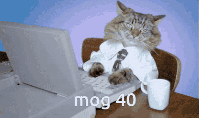 a cat in a suit and tie is typing on a laptop with the number 40 written below it