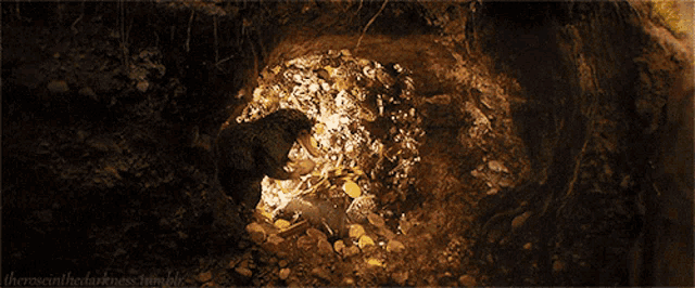 a bunch of gold coins in a dark cave with the words theresinthedarkness.tumblr at the bottom