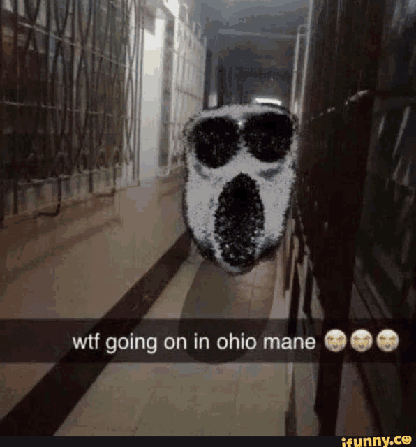 a picture of a ghost with the words wtf going on in ohio mane