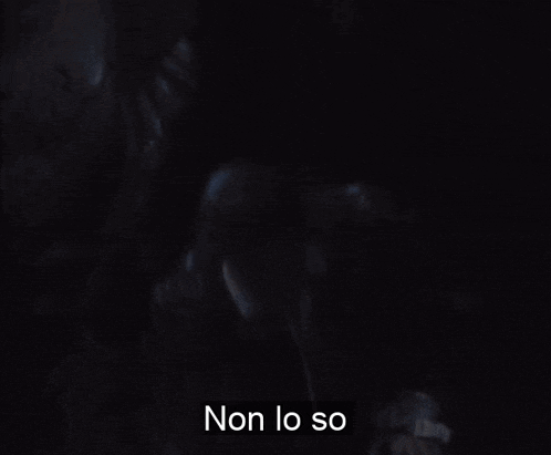 a blurred image of a man holding a sword with the words non lo so below him