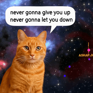 a cat says never gonna give you up never gonna let you down