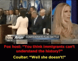 a confederate flag battle on fox news