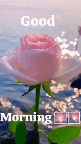 Happiness Peace GIF - Happiness Peace Good Night Images GIFs