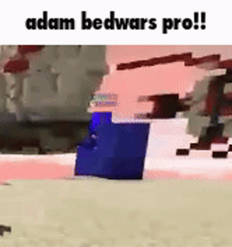 Adam Bedwars Pro Adam GIF - Adam Bedwars Pro Adam Adham GIFs