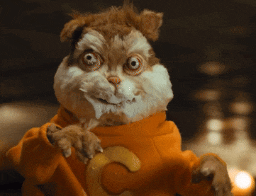 a stuffed animal in an orange sweater with the letter c on it