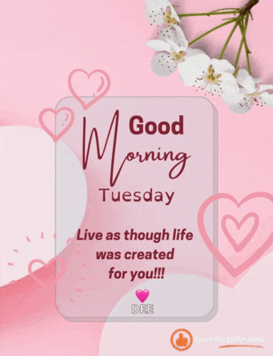 a pink card that says good morning tuesday on it