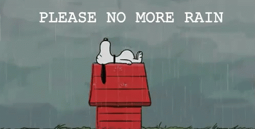 Please No More Rain GIF - No Rain No More Rain Please No More Rain GIFs