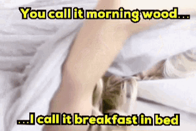 a picture of a person laying on a bed with the caption " you call it morning wood .... i call it breakfast in bed "